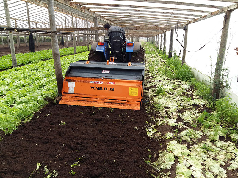 Toro 1700